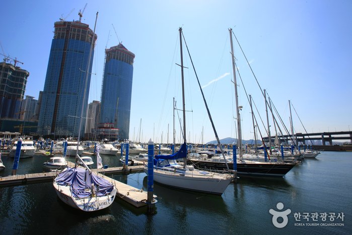 [Busan] Suyeongman Bay Yachting Center (수영만 요트경기장)