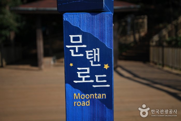[Busan] Moontan Road (문탠로드)