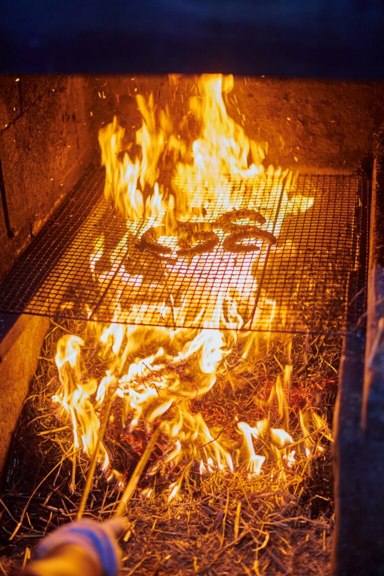 [Busan] Gijang Jonggajip Gomjangeo (기장종가집곰장어)