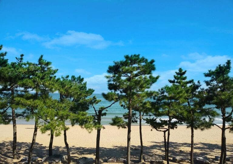 [Ulsan] Jinha Beach (진하 해수욕장)