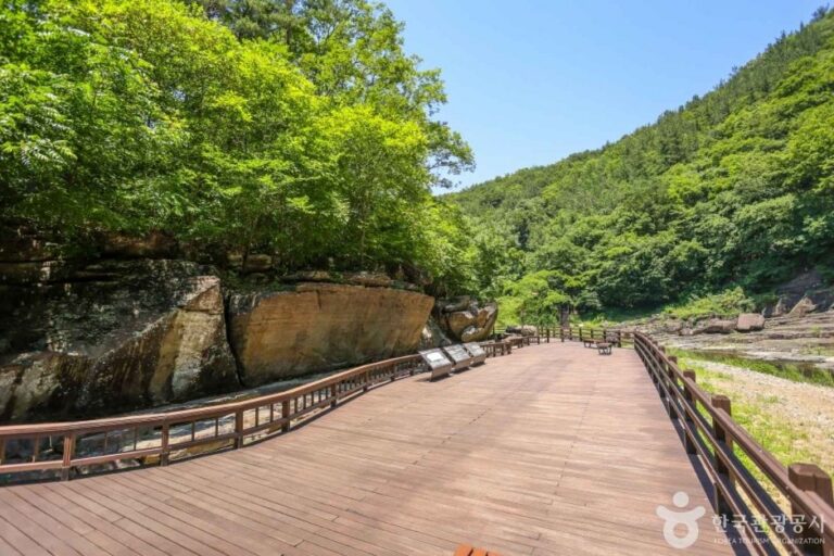 [Ulsan] Petroglyphs of Cheonjeon-ri [UNESCO World Heritage] (울주 천전리 명문과 암각화 [유네스코 세계유산])