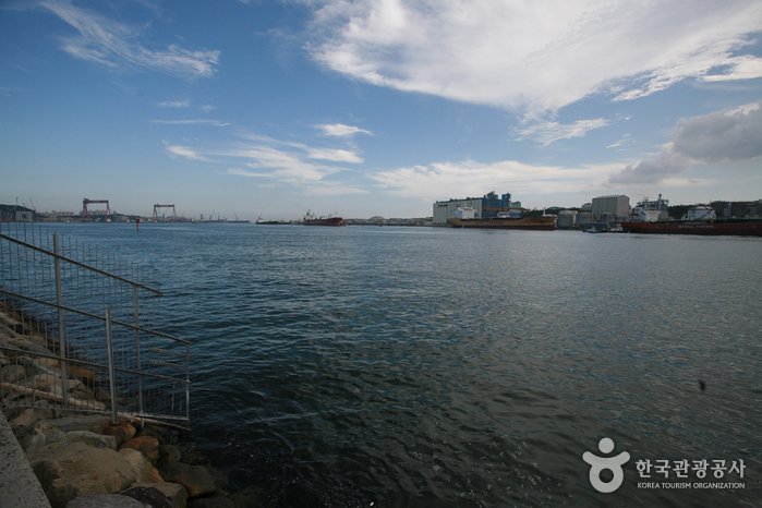 [Ulsan] Migration Site of Gray Whales of Ulsan (울산 귀신고래 회유해면)