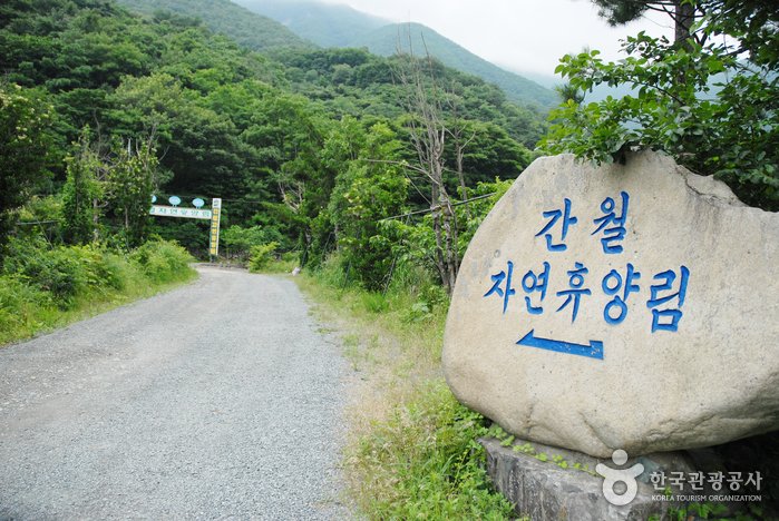[Ulsan] Ganwolsan Recreation Forest (간월산 자연휴양림)