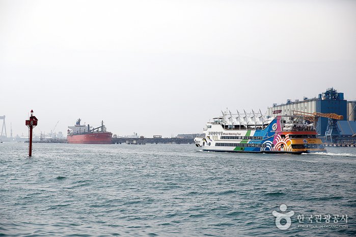 [Ulsan] Jangsaengpo Whale Watching Cruise (장생포 고래바다여행선)
