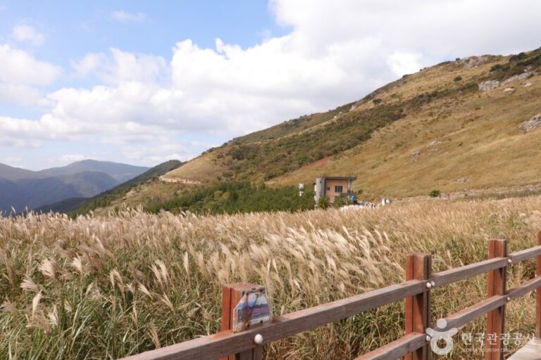 [Ulsan] Twelve Scenic Places of Ulsan City (울산 12경)