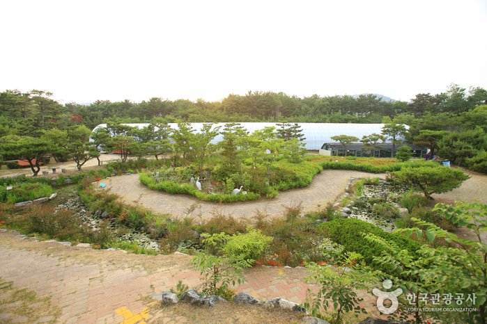 [Ulsan] Ulsan Theme Botanic Gardens & Arboretum (울산테마식물수목원)