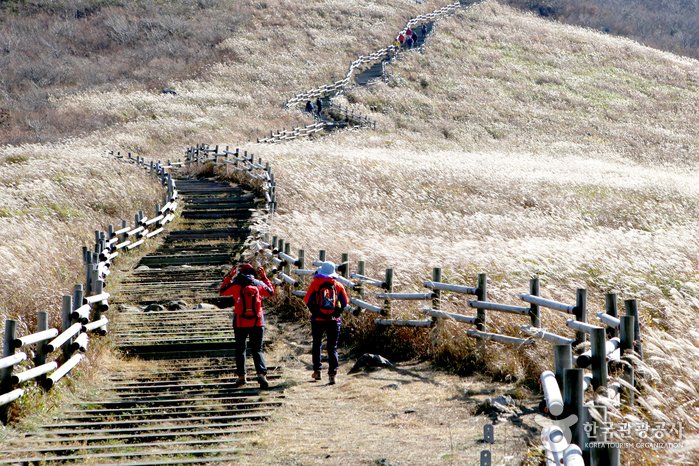 [Ulsan] Ganwolsan Mountain (간월산)