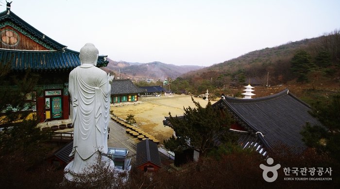 [Sejong] Yeongpyeongsa Temple (영평사)
