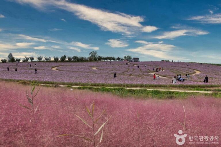 [Gyeonggi-do] Anseong Farmland (안성팜랜드)
