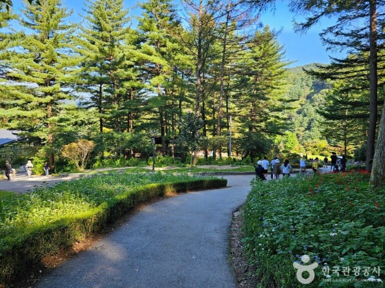 [Gyeonggi-do] The Garden of Morning Calm (아침고요수목원)