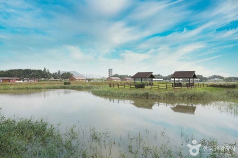 [Gyeonggi-do] Siheung Gaetgol Eco Park (시흥 갯골생태공원)
