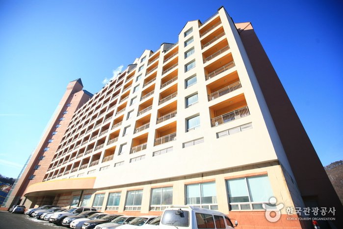 [Gyeonggi-do] Yangji Pine Resort (양지파인리조트)