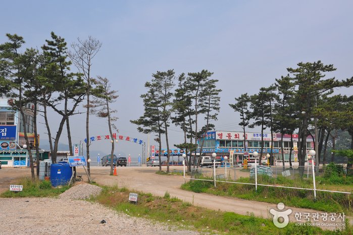 [Gyeonggi-do] Daebudo Island (대부도)