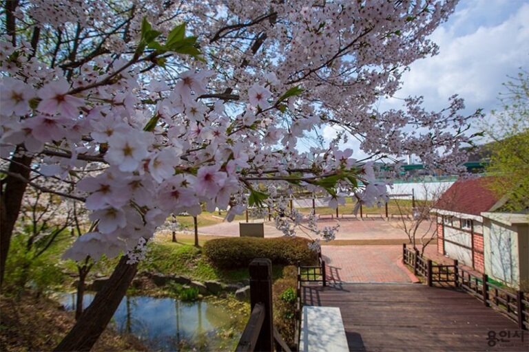 [Gyeonggi-do] Giheunghosu Lake Park Pet Playground (기흥호수공원 반려동물놀이터)