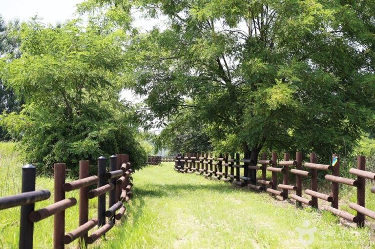 [Gyeonggi-do] Gangcheonseom Island (강천섬)