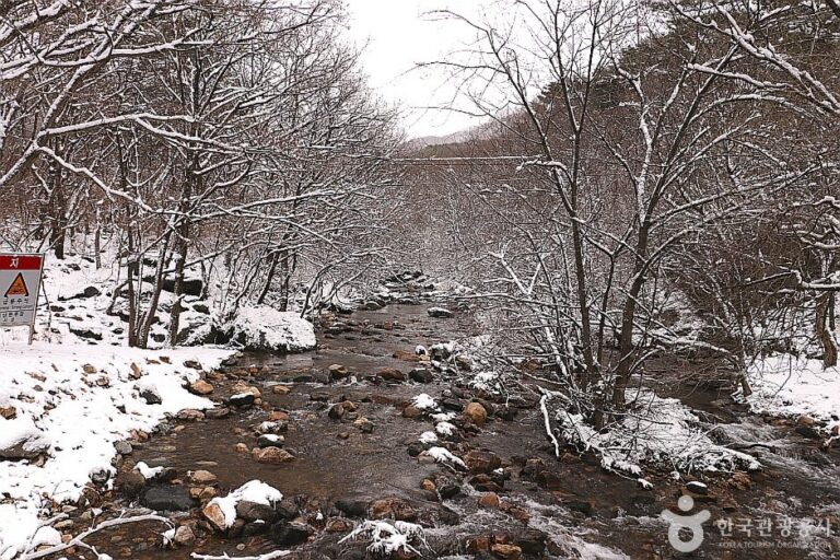[Gyeonggi-do] Sanasagyegok Valley (사나사계곡)