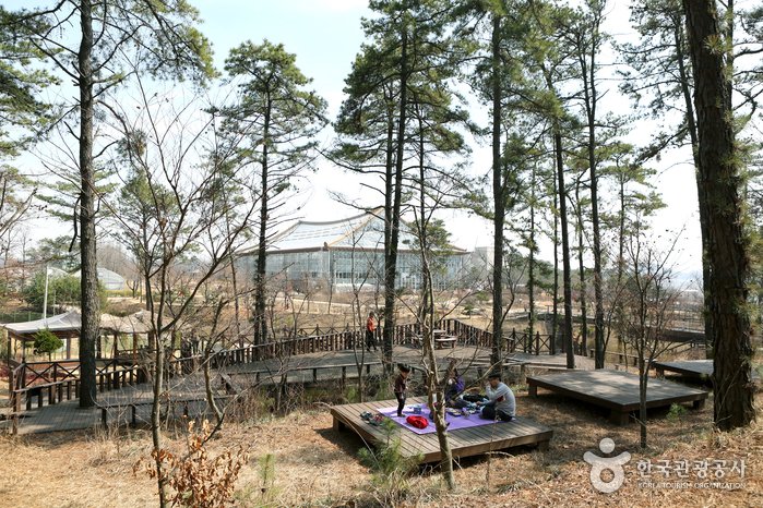 [Gyeonggi-do] Hwaseong City Botanic Garden (화성시 우리꽃 식물원)