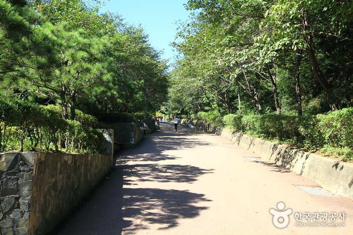 [Gyeonggi-do] Soraesan Mountain (소래산)
