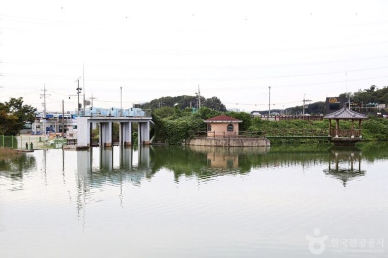 [Gyeonggi-do] Murwanghosu Lake (물왕호수)