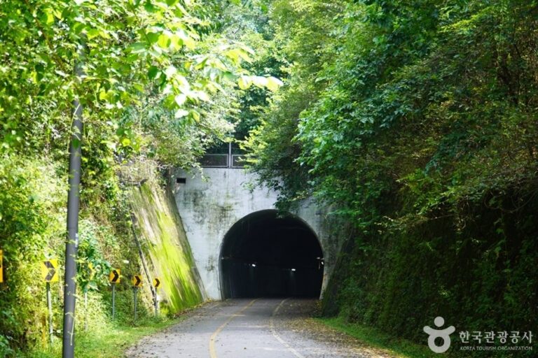 [Gyeonggi-do] Saekhyeon Tunnel (색현터널)