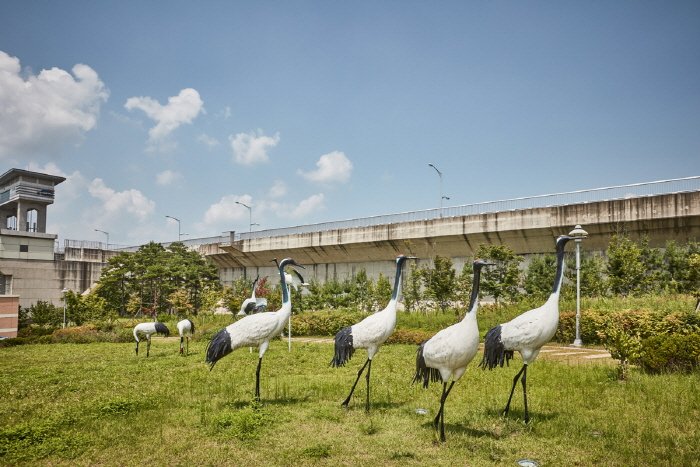 [Gyeonggi-do] Gunnam Flood Control Theme Park (군남홍수조절지 두루미테마파크)