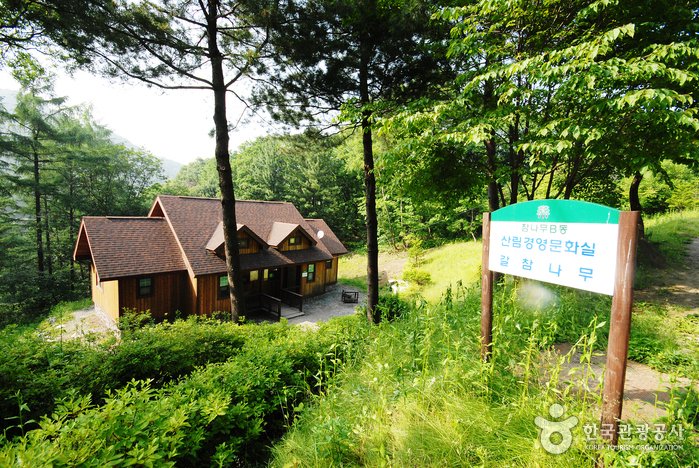 [Gyeonggi-do] Jungmisan Recreational Forest (중미산자연휴양림)