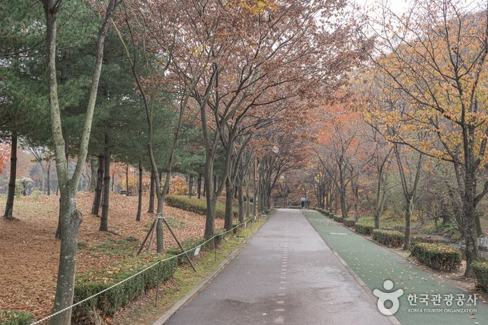 [Gyeonggi-do] Yuldong Park (율동공원)