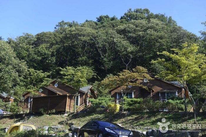 [Gyeonggi-do] Yongin Recreational Forest (용인자연휴양림)