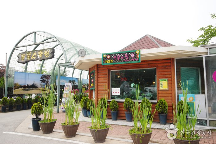 [Gyeonggi-do] Yangpyeong Wild Flower Arboretum (양평 들꽃수목원)