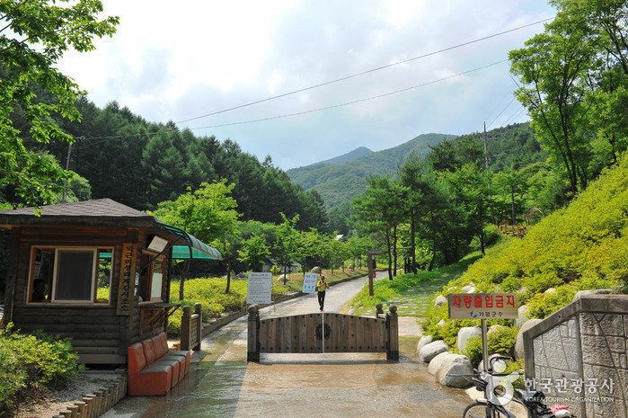 [Gyeonggi-do] Myeongjisan County Park  (명지산 군립공원)