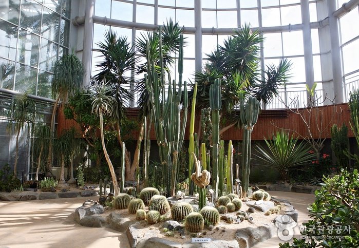 [Gyeonggi-do] Bucheon Botanical Garden (부천식물원)