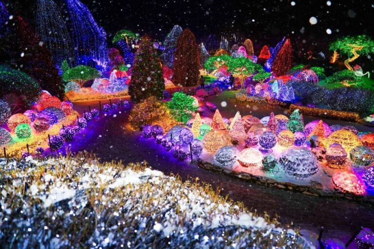 [Gyeonggi-do] Lighting Festival at The Garden of Morning Calm (아침고요수목원 오색별빛정원전)