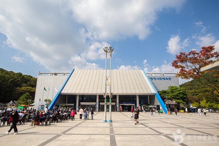 [Gyeonggi-do] Gwangmyeong Indoor Gymnasium (광명시민체육관)