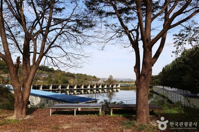 [Gyeonggi-do] Danggol Fishing Area (당골낚시터)