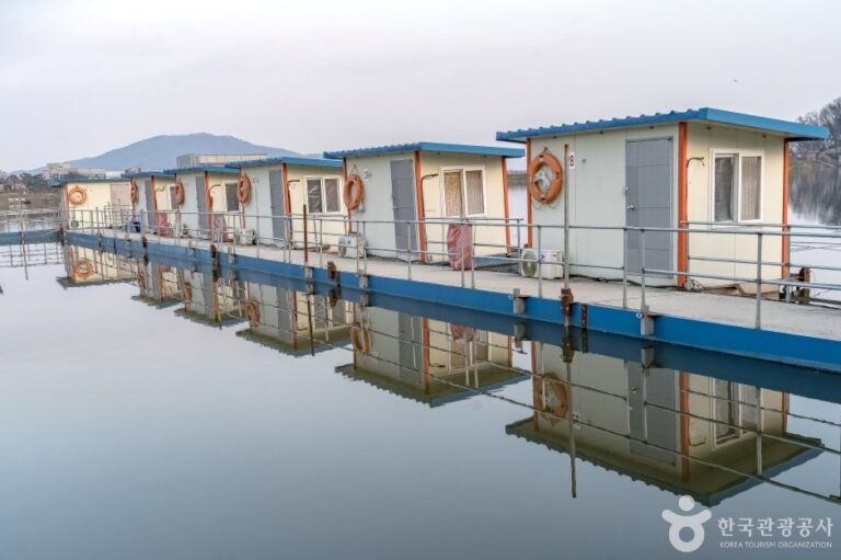 [Gyeonggi-do] Yongdam Fishing Area (용담낚시터)