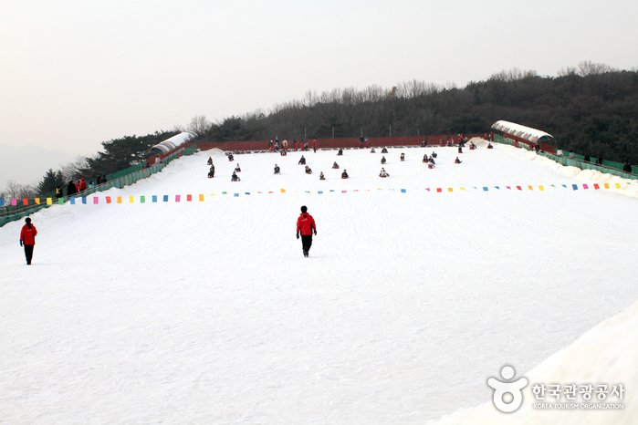 [Gyeonggi-do] Seoulland Sledding Hills (서울랜드 눈썰매장)