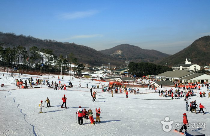 [Gyeonggi-do] Jisan Forest Ski Resort (지산 포레스트 리조트 스키장)