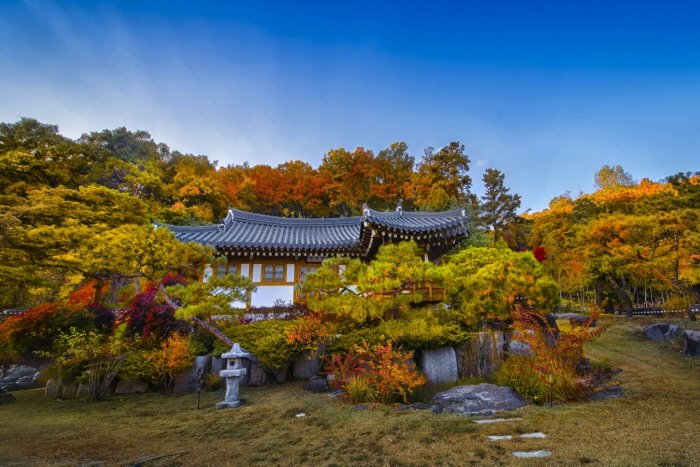 [Gyeonggi-do] Joseon Wangga/ 조선왕가(농업회사법인 조선왕가 주식회사)