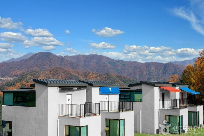 [Gyeonggi-do] Premium Kids Pool Villa (프리미엄키즈풀빌라)