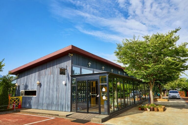 [Gyeonggi-do] Green Mango (그린망고)