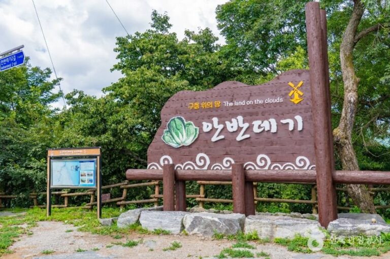 [Gangwon-do] Anbandegi Village (안반데기 마을)