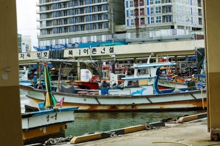 [Gangwon-do] Sacheonjin Port (사천진항)