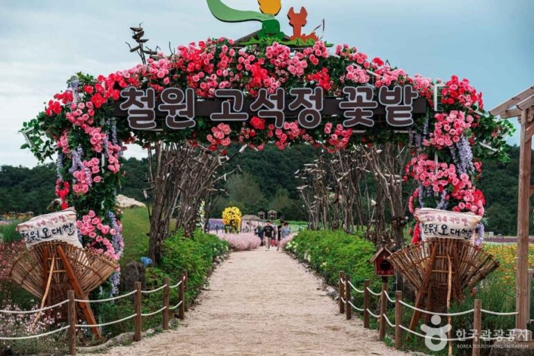 [Gangwon-do] Goseokjeong Flower Field (고석정 꽃밭)