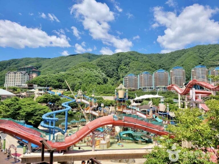 [Gangwon-do] Sono Belle Vivaldi Park Ocean World (소노벨 비발디파크 오션월드)