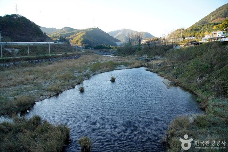 [Gangwon-do] Namdaecheon Stream (남대천(강릉))
