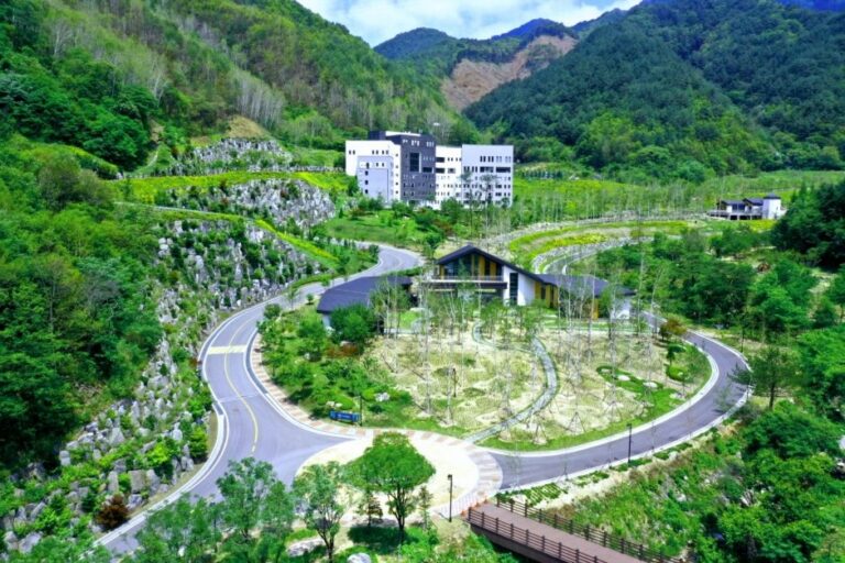 [Gangwon-do] High Healing 1 (산림힐링재단(하이힐링원))