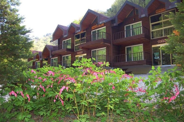 [Gangwon-do] Micheongol Recreational Forest (국립 미천골자연휴양림)