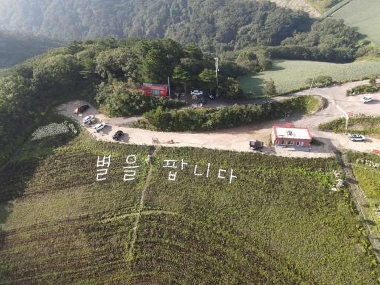 [Gangwon-do] Gangneung Anbandegi Tourist Farm (강릉안반데기관광농원)