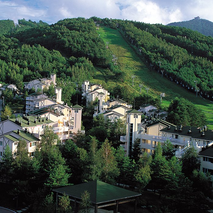 [Gangwon-do] Yongpyong Resort Villa Condo (용평리조트 빌라콘도)