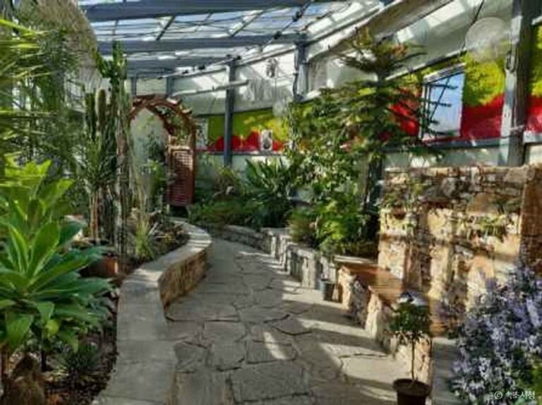 [Gangwon-do] Seoraksan Botanical Garden (설악산 자생식물원)